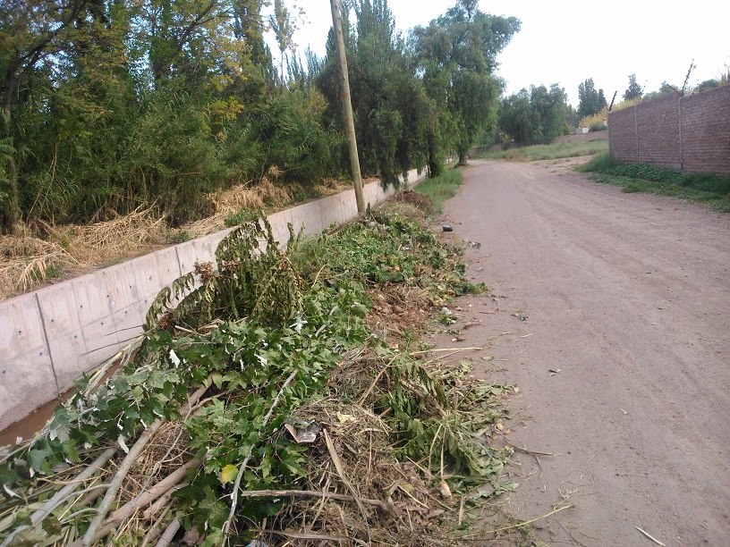 Viamonte con basura