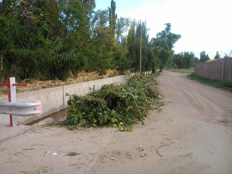 Viamonte con basura