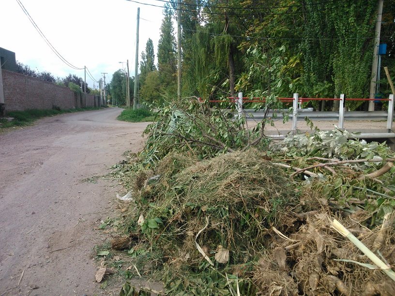 viamonte basura