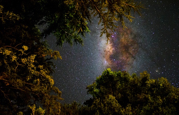 Sin Título, de Fausto Mazzarella.