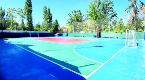 Screenshot_20240412_195352_WhatsApp