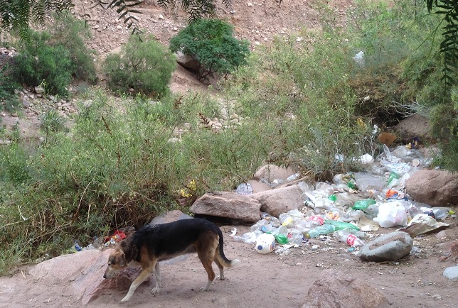 cacheuta con basura