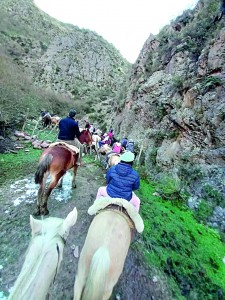 cabalgata2