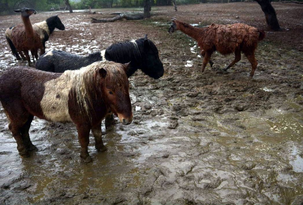 image573d2ce8369680.25446153