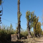 tala-castro-barro tala-castro-barro