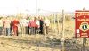 Buenos vecinos: Veinte aguaribays fueron plantados en el Pedemonte